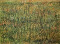 Pasture in Bloom Vincent van Gogh